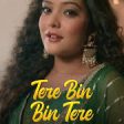 Tere Bin Bin Tere Song