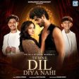 Tumne Dil Diya Nahi Song