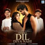 Tumne Dil Diya Nahi Song