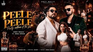 Amzy Walia