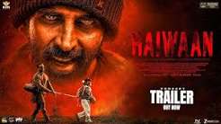 Haiwaan