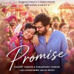 Promise Song