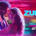 Zulmi Song